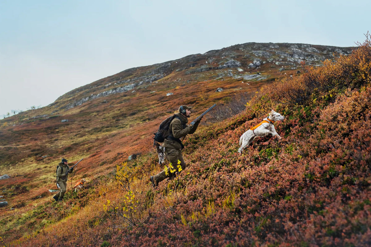 Mountain Hunter jacket - Hunting green/Shadow brown