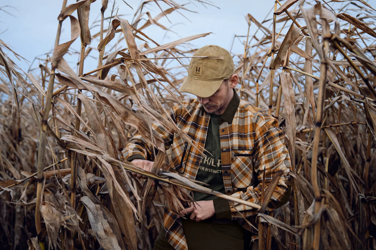Pajala shirt - Cornstalk check