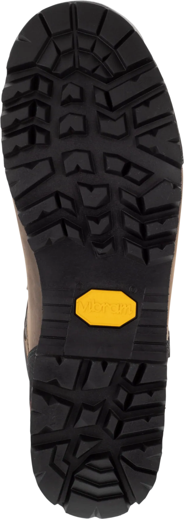 Forest Hunter GTX Mid - Dark brown