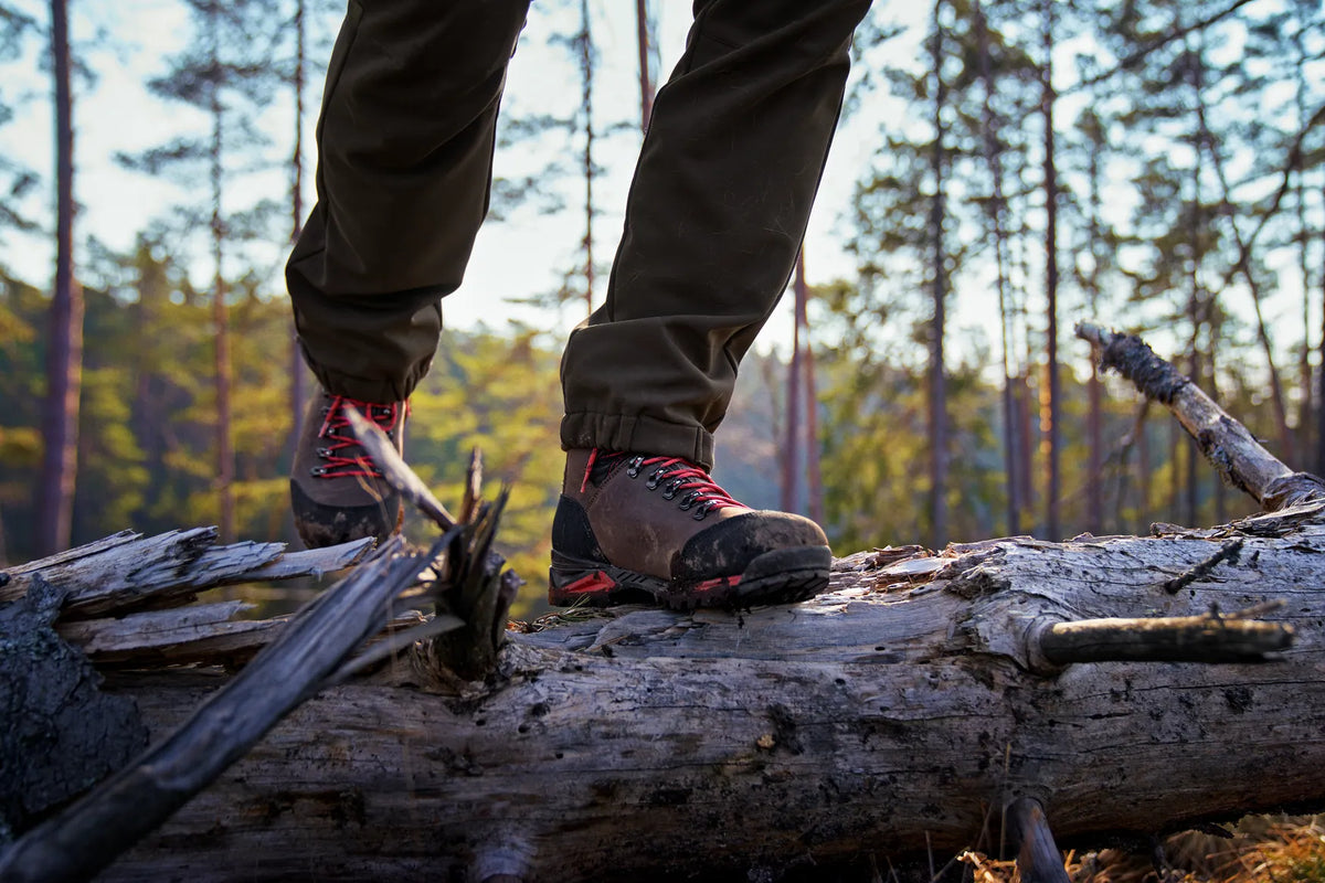 Forest Hunter GTX Mid - Dark brown