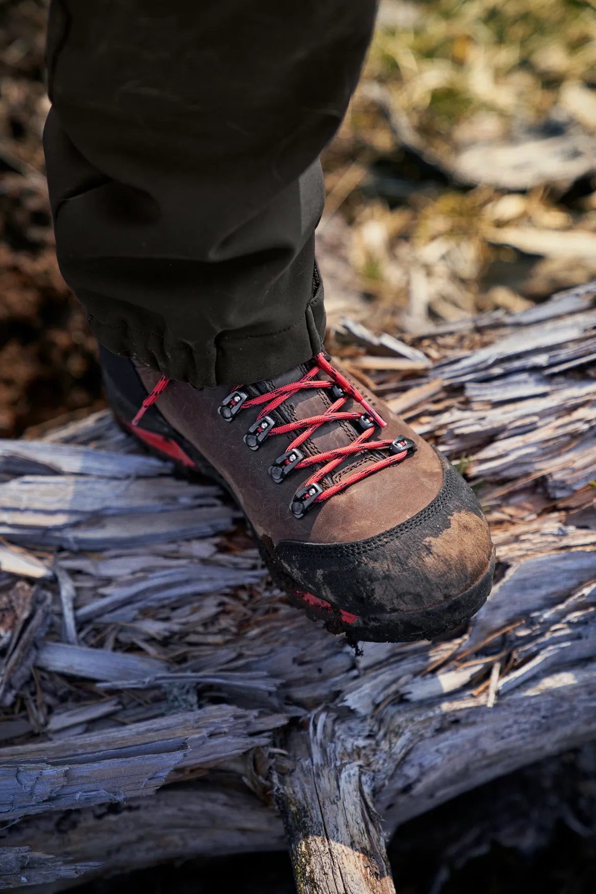 Forest Hunter GTX Mid - Dark brown