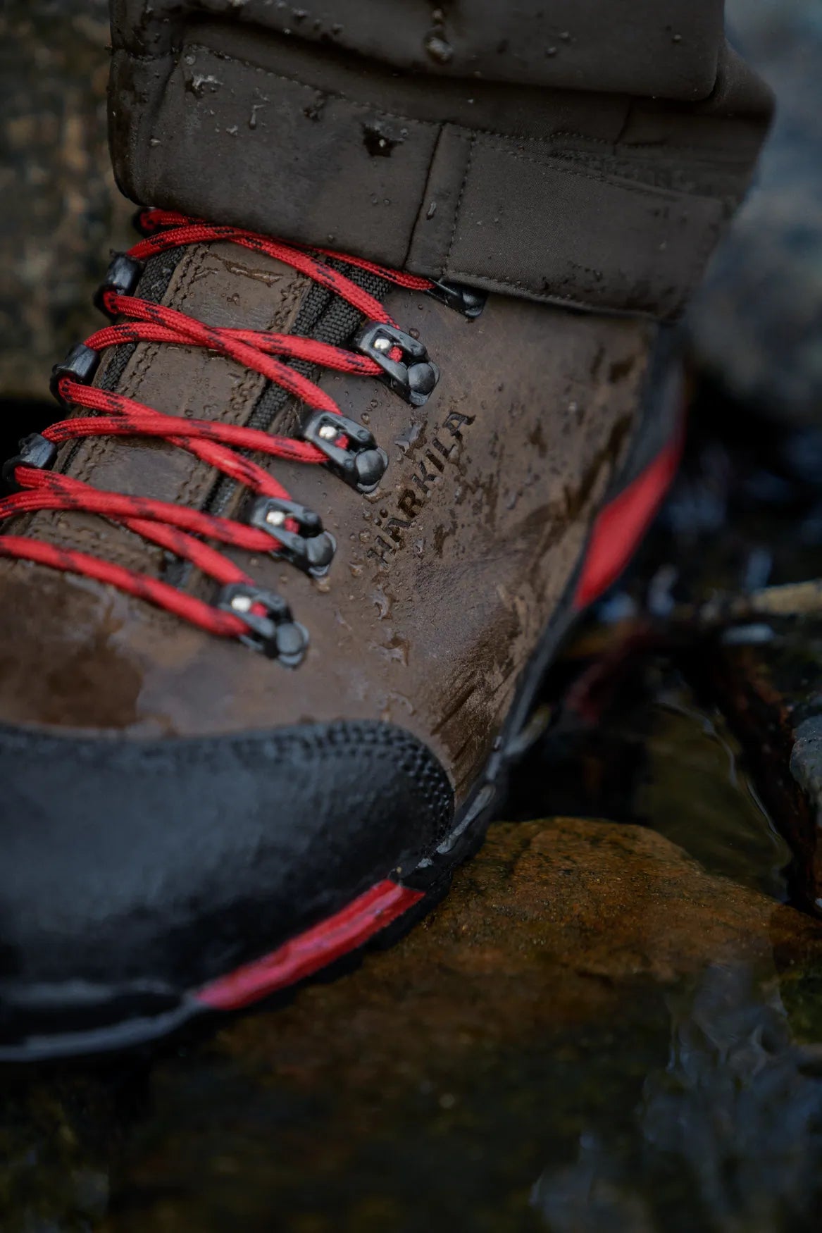 Forest Hunter GTX Mid - Dark brown